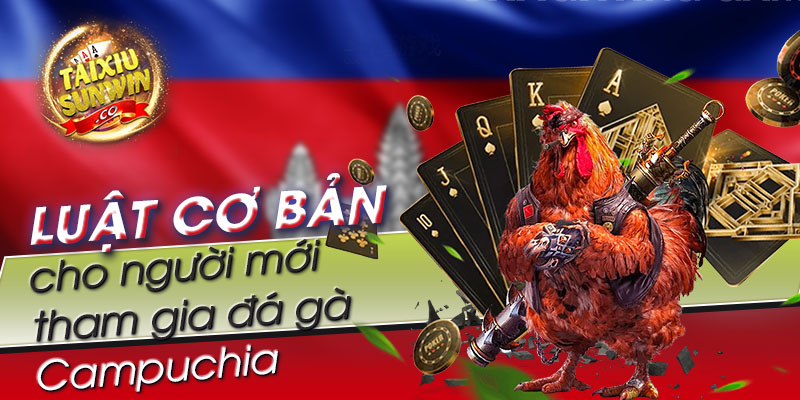 Luật cơ bản và các cửa cược dành cho người mới tham gia đá gà Campuchia